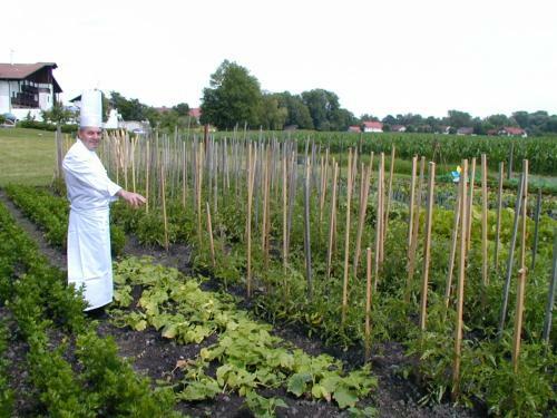 Kurhotel W�rdinger Hof