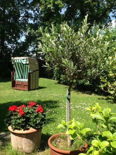 Apartamento Das Reetdachhaus - Paulines H�ft
