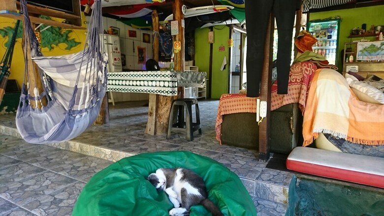 Hostal Welcome Surf Hostel