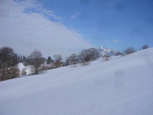 Hostal G�stehaus Schlegel