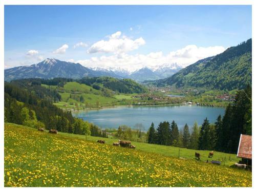 Apartamento Landhaus Waibelhof