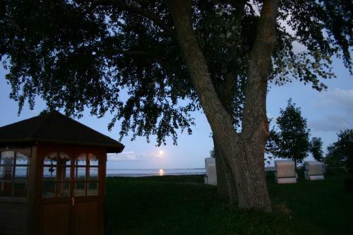 Apartamento H�s Bi Heef