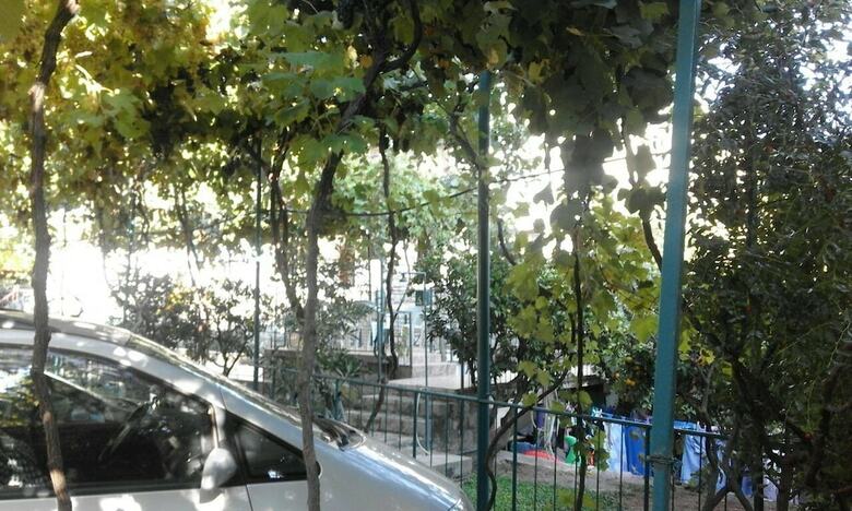 Apartments Jovana