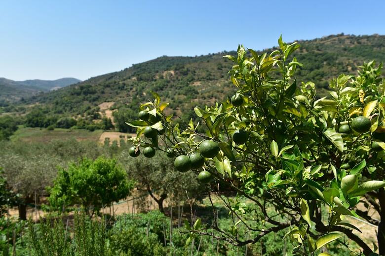 Agroturismo Agriturismo La Lamia