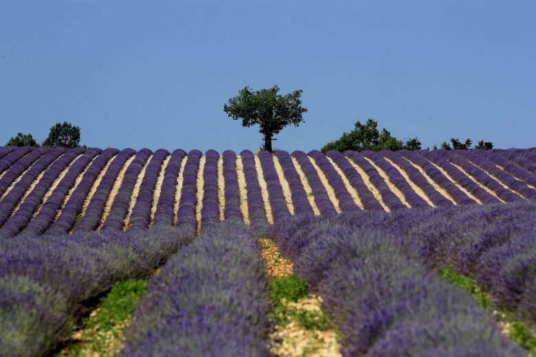 Bed & Breakfast Le Clos Des Lavandes