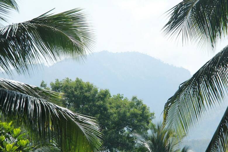 Hotel Anura Guest Inn