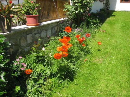 Hostal Landhaus Lengg