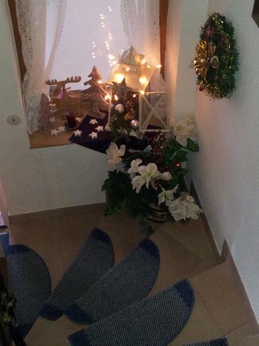 Apartamento Appartementhaus Regner
