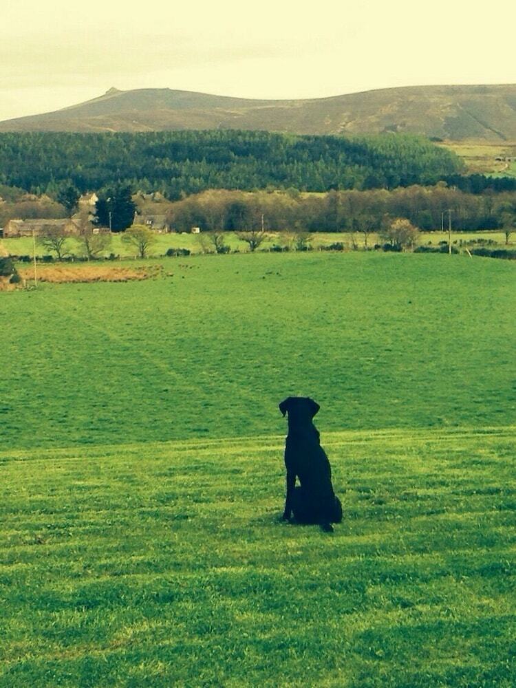 Finzean Estate Holiday Cottages