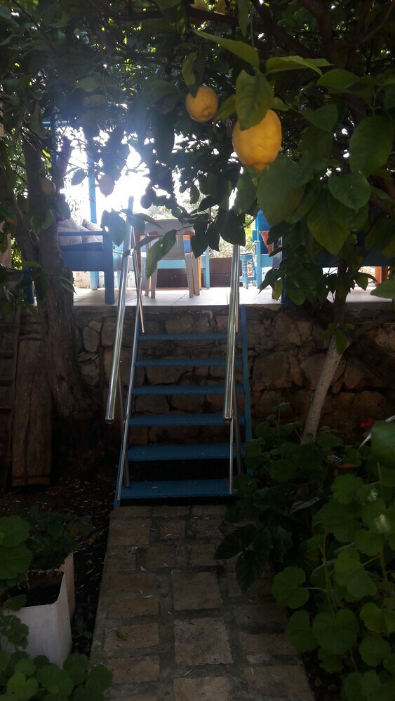 Hotel Likya Pansiyon