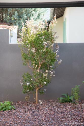 Villa Les M�diterran�ennes