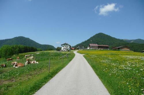 Hostal Gasthof Jachenau