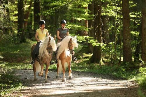 Agroturismo Haflingerhof