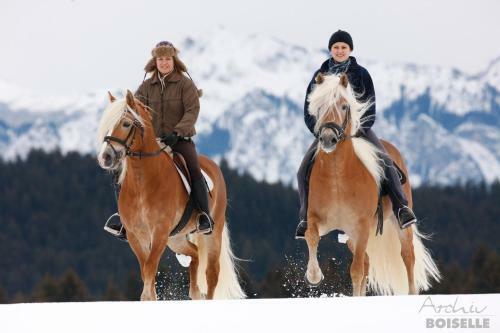Agroturismo Haflingerhof