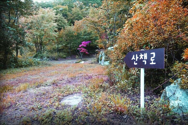 Jamping Holiday Yongin - Campsite