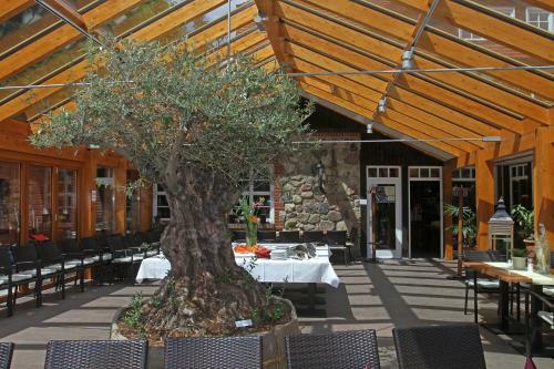 Hotel Boltenm�hle