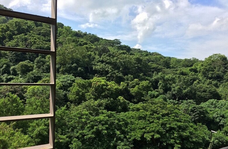 Beach Condos Pico de Loro Hamilo Coast