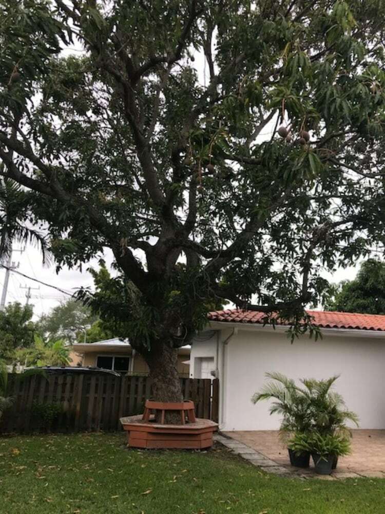 Marvelous Miami Shores