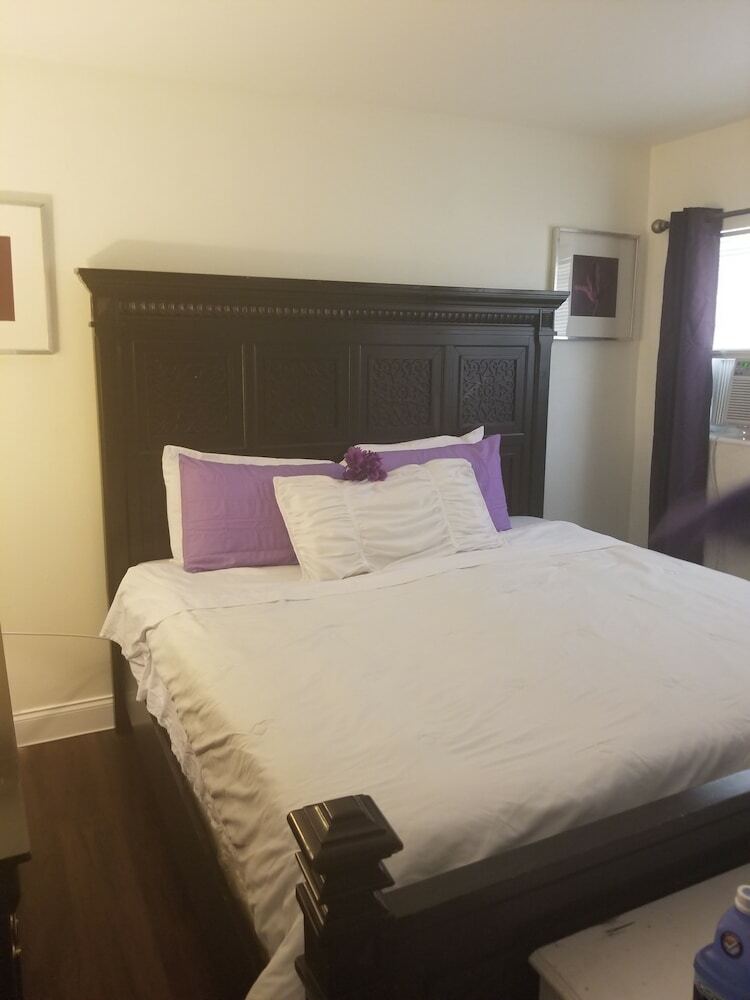 Coral Ridge Comfort Too