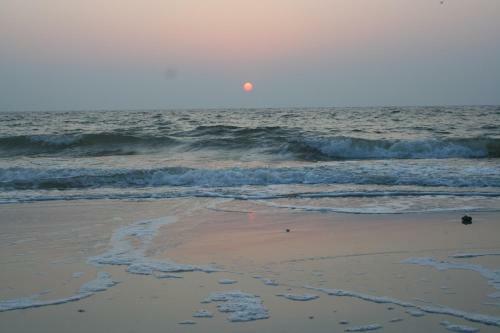 Ostsee Ferienh�user