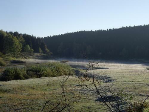 Hostal Hotel Gr�ne Tanne Mandelholz