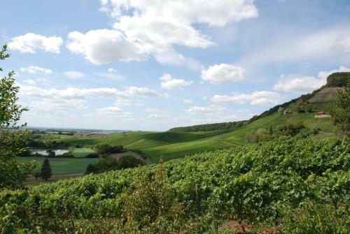 Hostal Pension Margarete