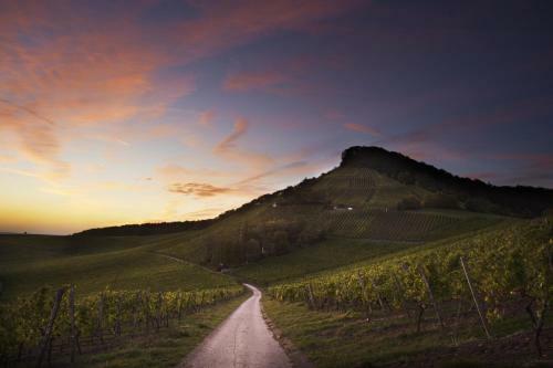 Hostal Pension Margarete