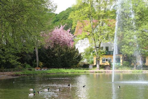 Hostal Haus Alice