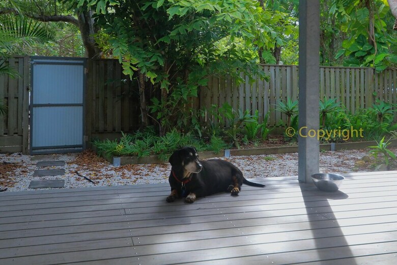 Fingal Beach House 14 Lagoon Road