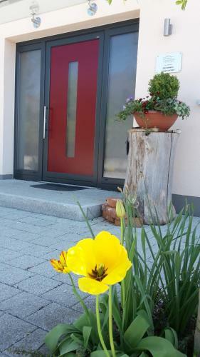 Hotel G�stehaus Lohauserhof
