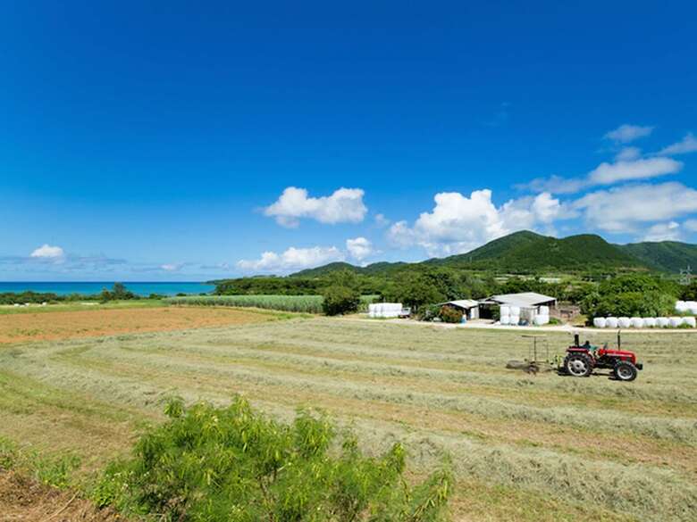 Hotel Ishigakijima Sun Green Grass