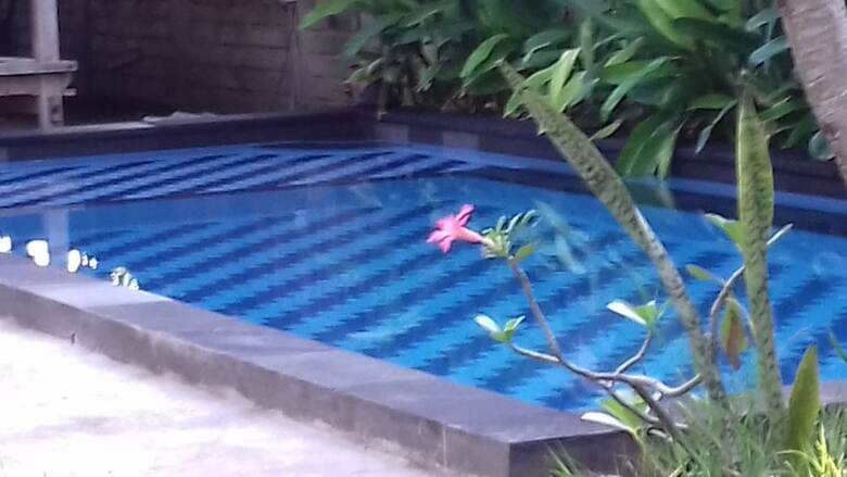 Bed & Breakfast Diyu Bungalow