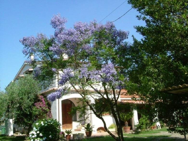 Agroturismo Poderi Di Tragliatella Farmhouse