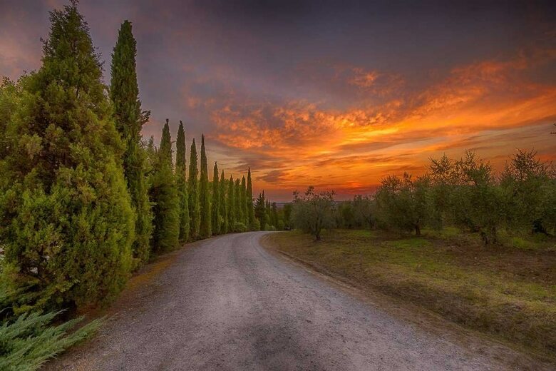 Agroturismo Castello Di Spedaletto