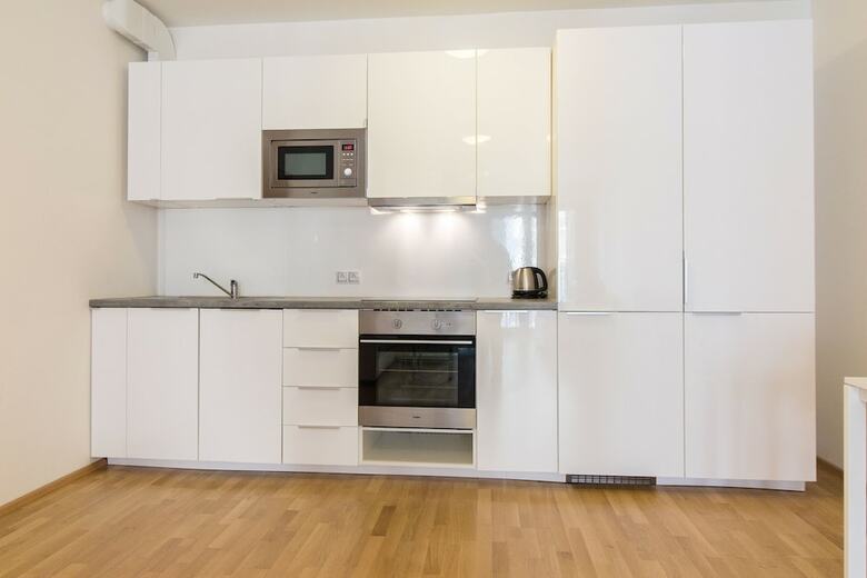 New Modern Apartment With Zizkov Parking