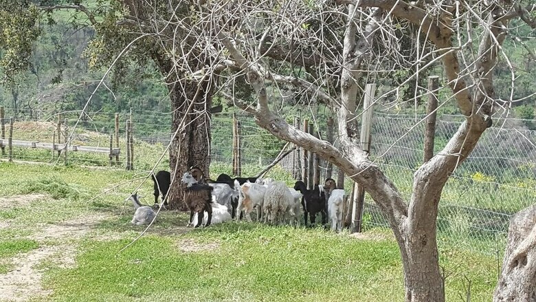 Agroturismo Agriturismo Mama Lina