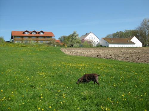 Apartamento Ferienhof Rieger