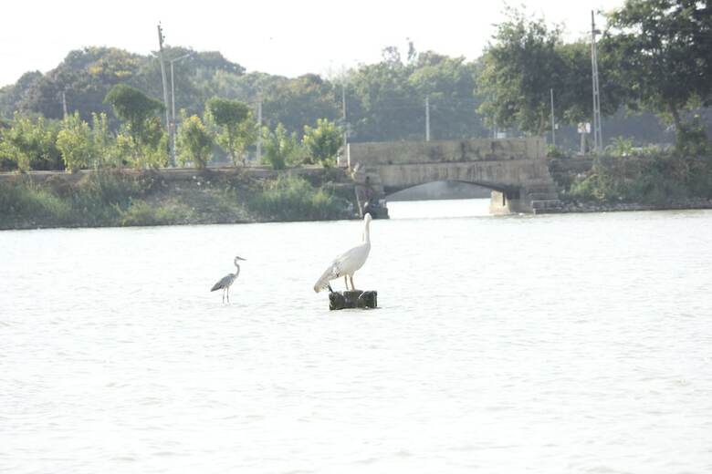 Hotel Shiv Lake