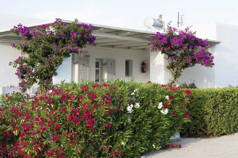 Apartamentos Golden Sand Paros