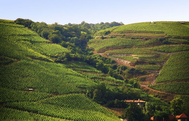 Hotel Ibis Budget Pouilly-en-auxois
