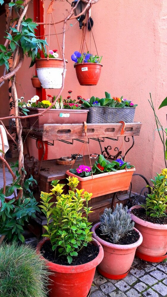 Bed & Breakfast Dos Hermanos Hotel