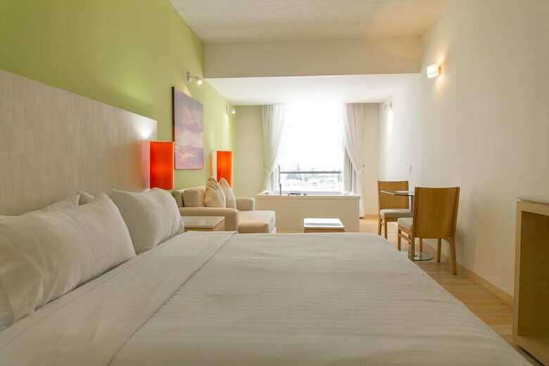 Hotel Holiday Inn Salamanca