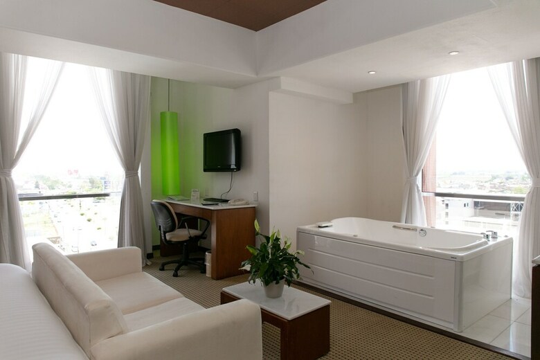 Hotel Holiday Inn Salamanca