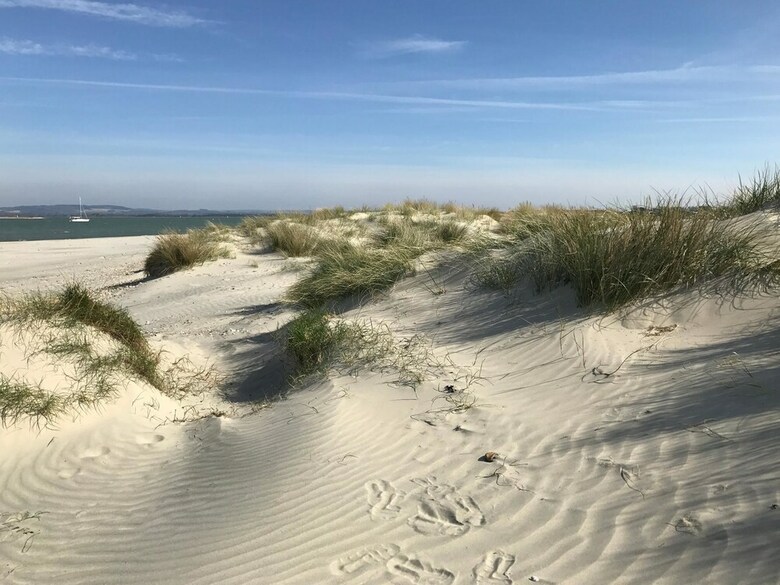 Bed & Breakfast Linden House