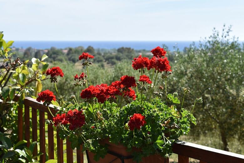 Agroturismo Barn�a - Agriturismo