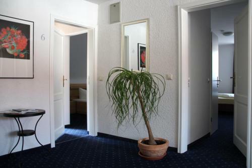 Hostal Hotel Restaurant Engel