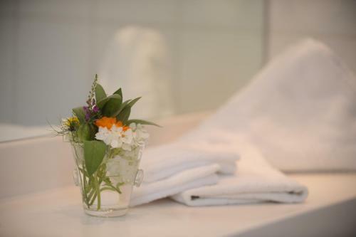 Hostal Hotel Gasthaus Adler