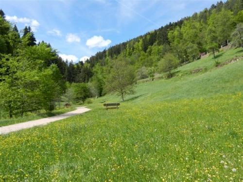 Apartamentos Appartementhaus Wiesengrund