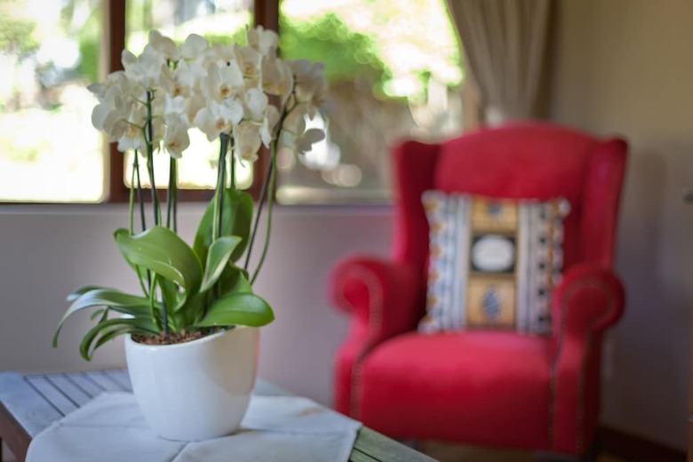 Hotel Twin Thorns Guesthouse