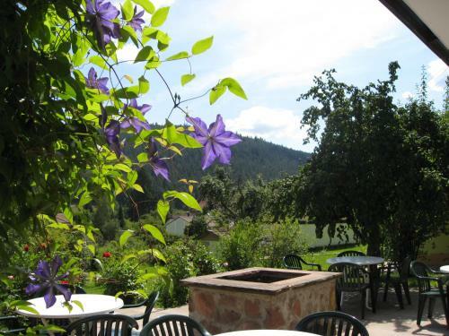 Hotel Schwarzwaldsch�fer
